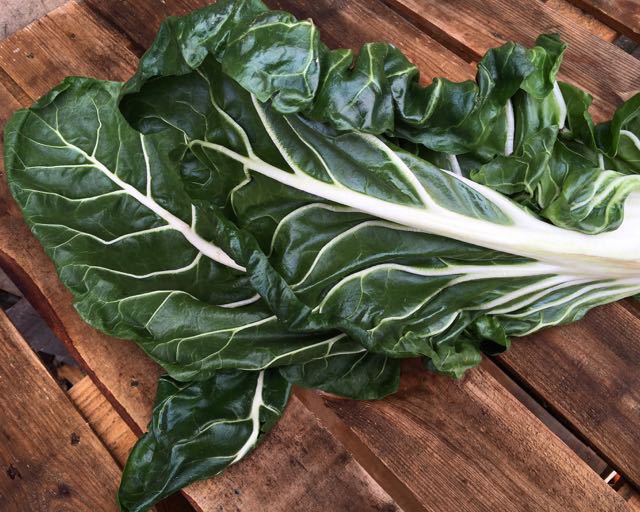 SWISS CHARD Photo ©Evie Saffron Strands