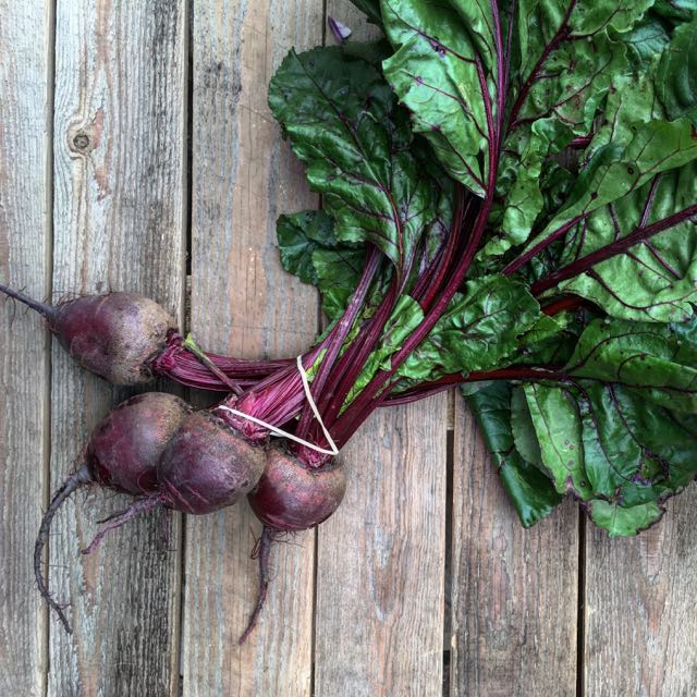 Red Beetroots Photo ©Evie Saffron Strands