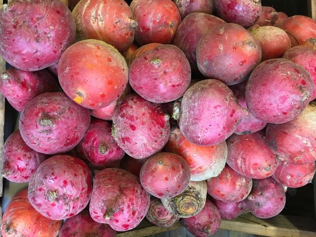 Chioggia Beetroots Photo ©Evie Saffron Strands