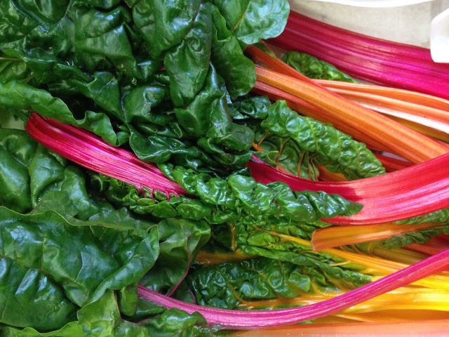 Rainbow Chard Photo ©Evie Saffron Strands
