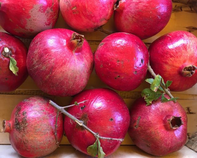 Sicilian Pomegranates Photo ©Evie Saffron Strands