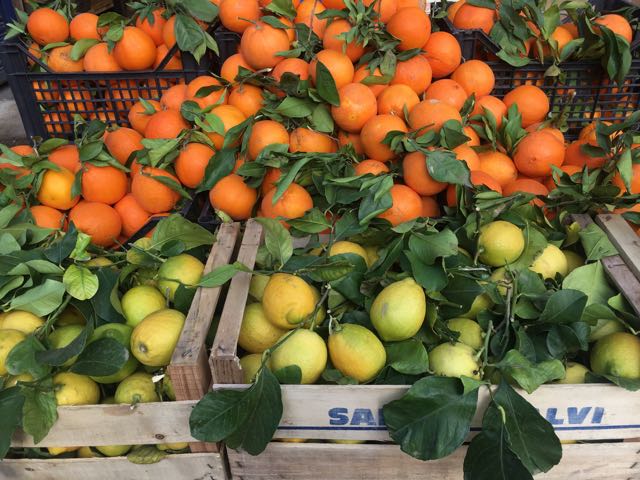 Italian Oranges & Lemons Photo ©Evie Saffron Strands