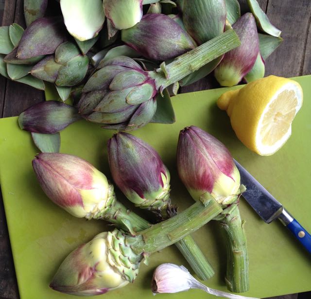 Globe Artichokes in prep Photo ©Evie Saffron Strands