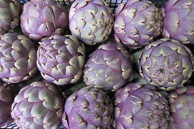 Globe Artichokes Photo ©Evie Saffron Strands