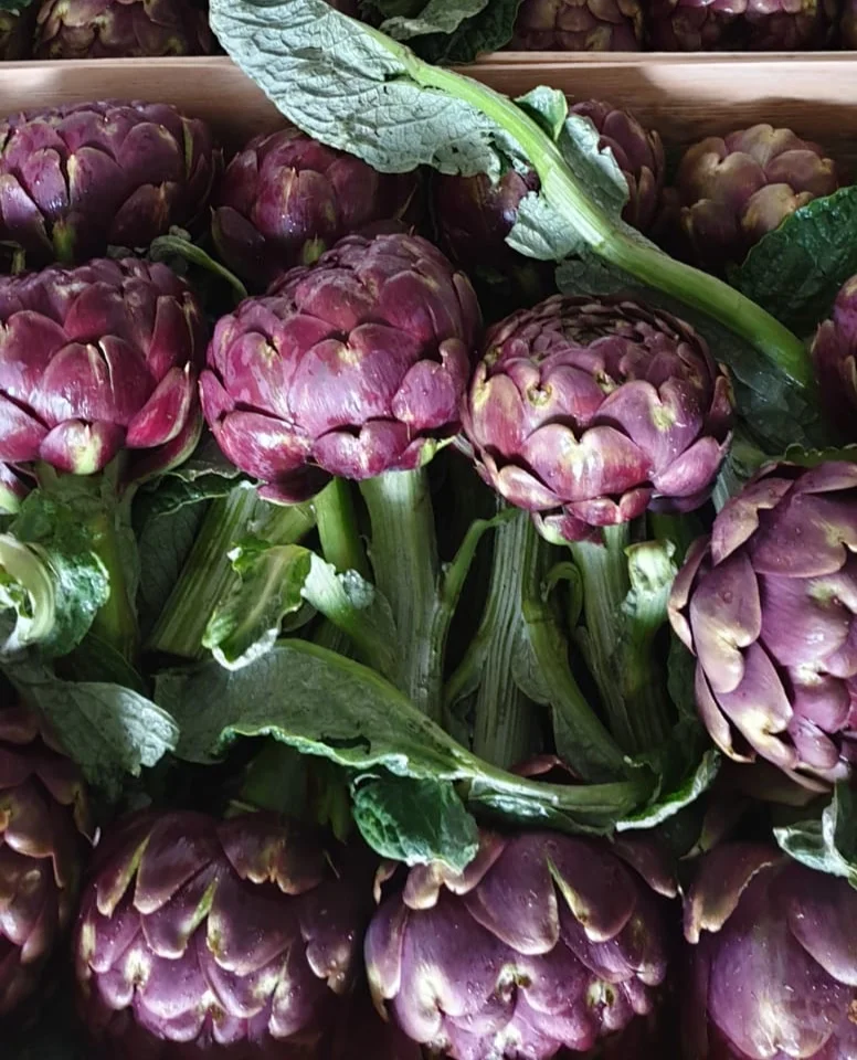 Roman Artichokes Photo © Puntarelle & Co