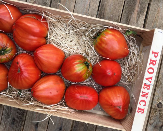 French Cuore di Bue (Ox Heart) Tomatoes Photo ©Evie Saffron Strands