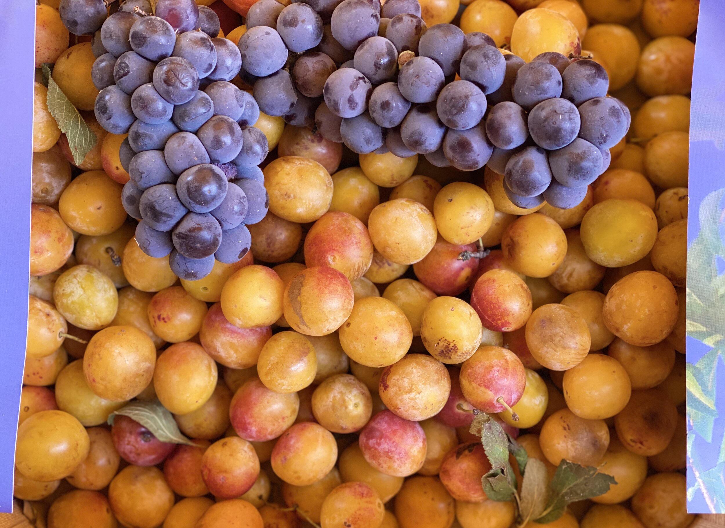 Unwaxed Sicilian Lemons — Kingfisher Farm Shop