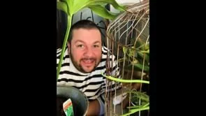 How to Hibernate with eBay - Plants