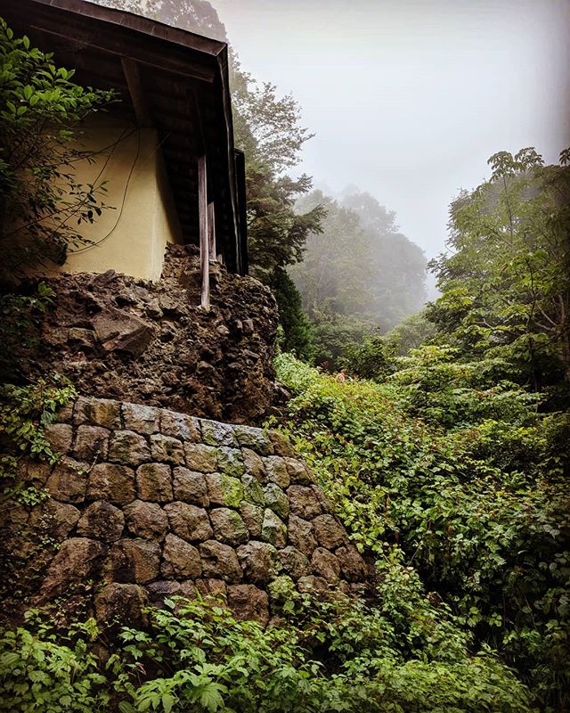 Looking back Okusha, Togakushi, Nagano