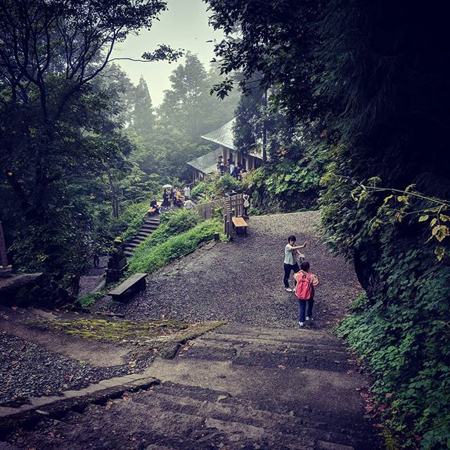 The temple at Okusha is nothing special but the journey and the forest are incredible.