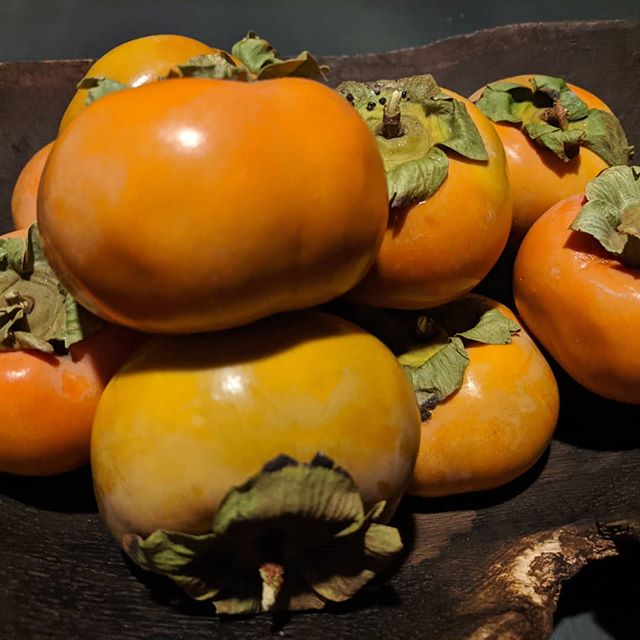 My incredible brother and sister-in-law sent me persimmons from their tree. How lucky am I?