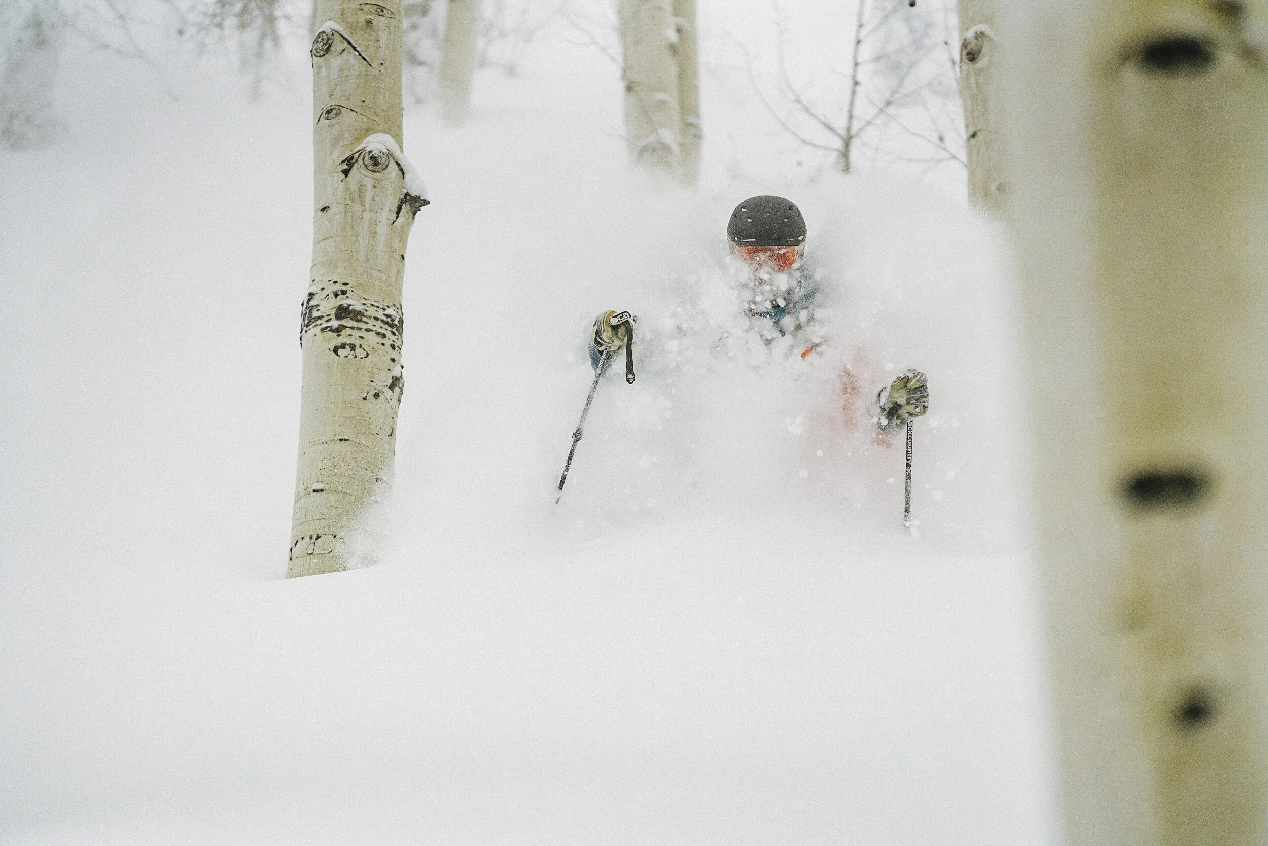 07_20200113_CO_BUFF_A7R01484.JPG