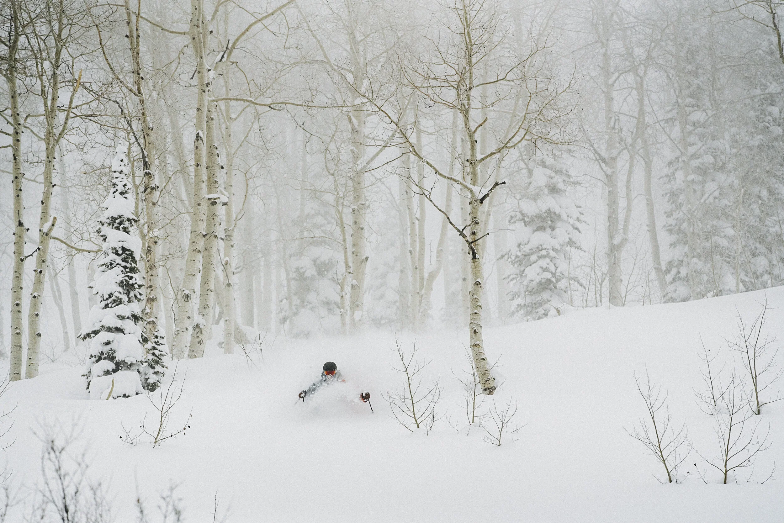 08_20200113_CO_BUFF_A7R01503.JPG