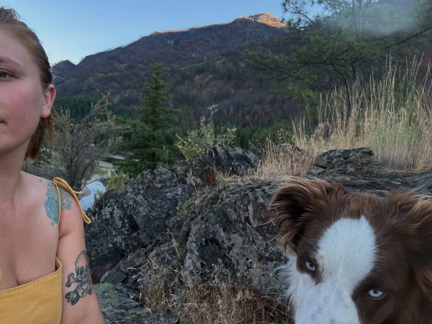 summer week 1/2 off between onsite gigs, the little moments are the biggest ✨