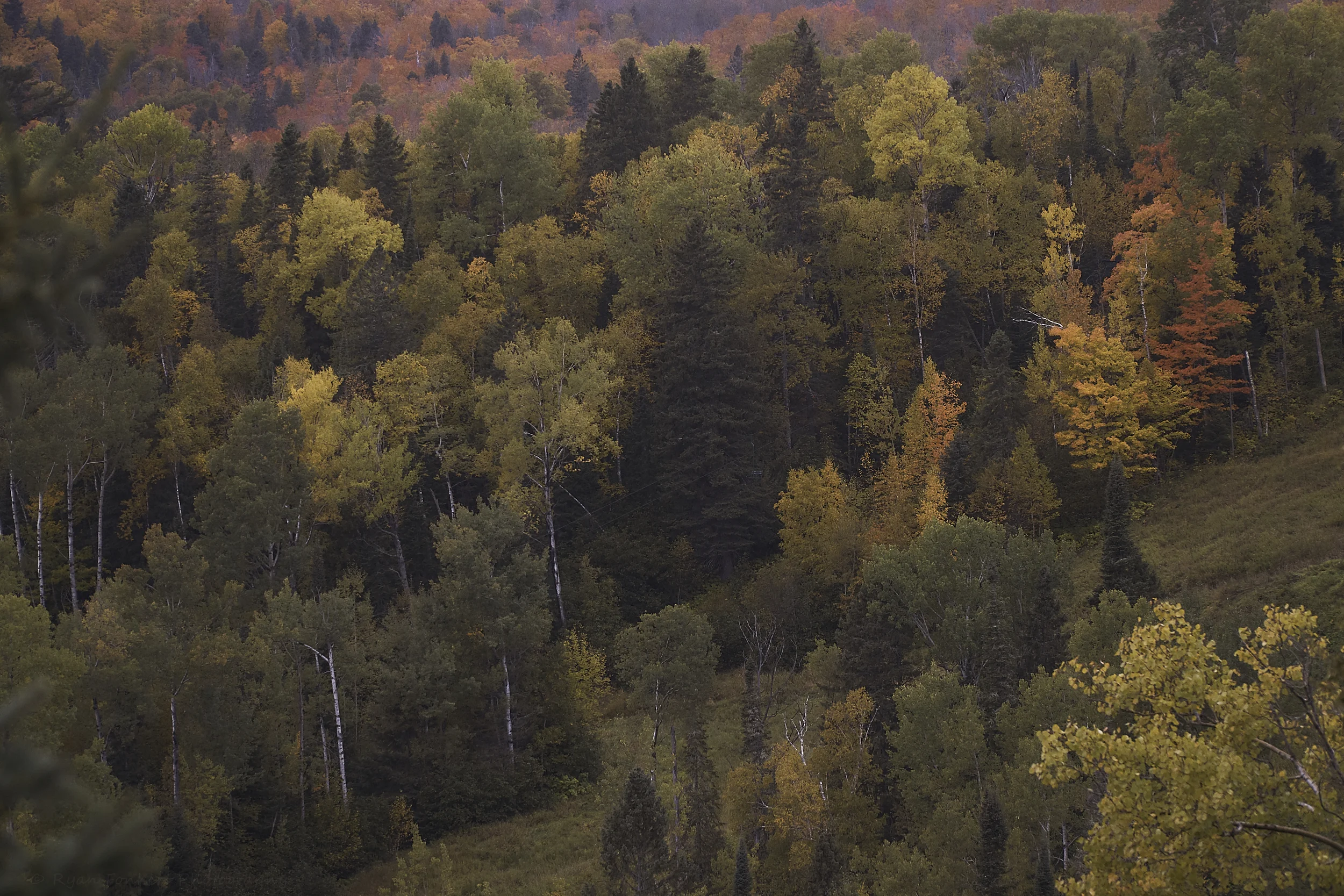 “Fall Line” - Autumn at Lutsen Mountains ski resort.