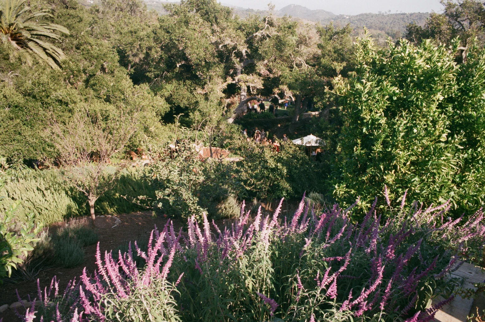 291290020.jpg