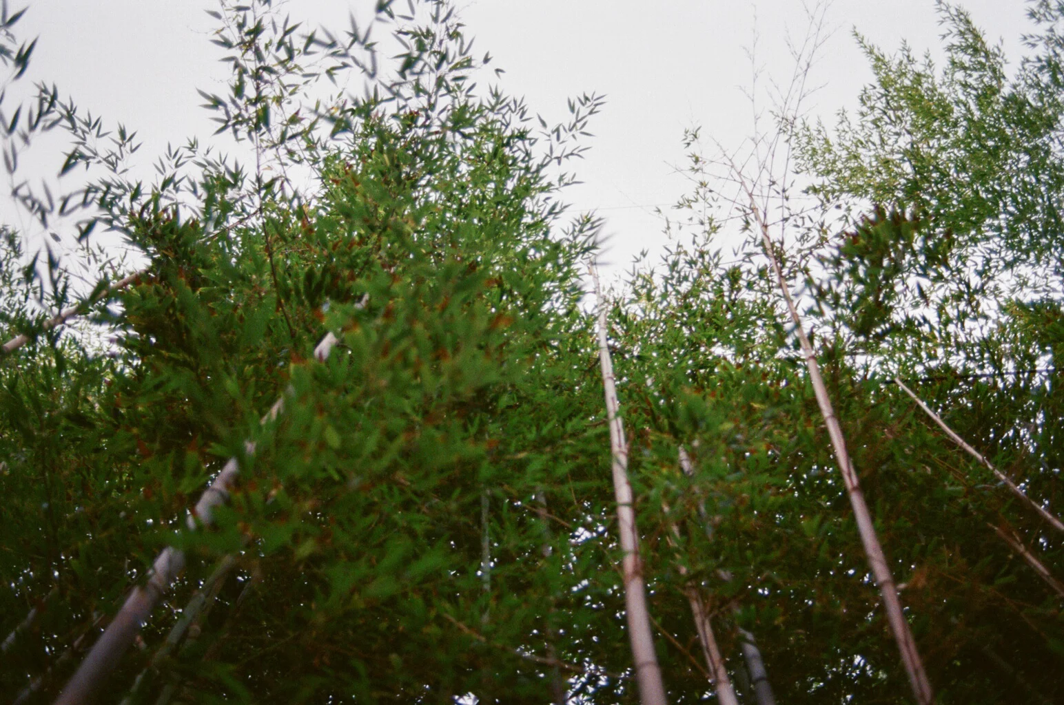 00010025.jpg