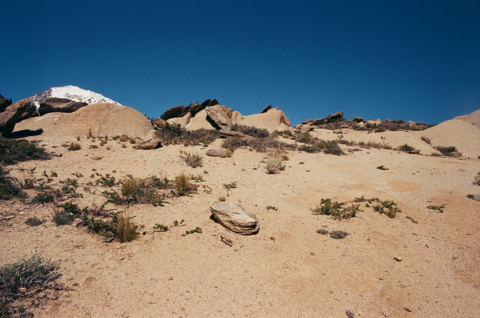 MISC10008.jpg