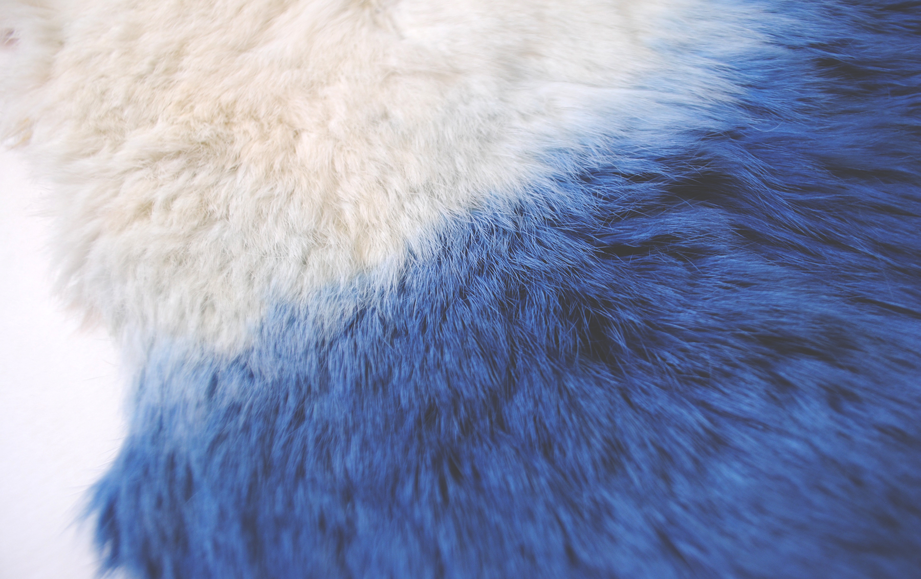 Indigo Dyed Rabbit Fur