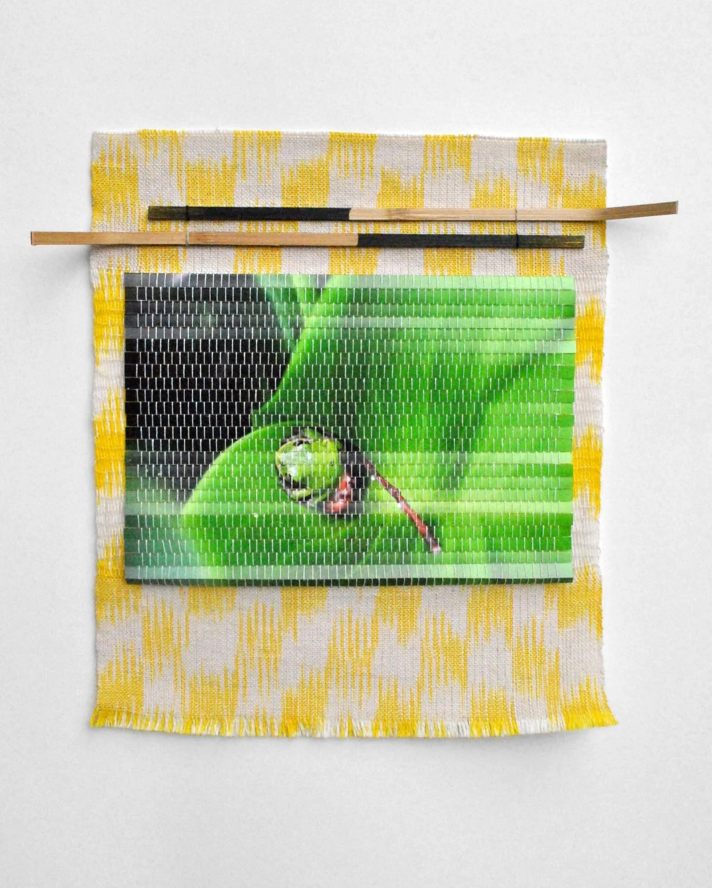 Falling asleep to the rain last night, three small green frogs appeared in my dream as part of an alive art project I was conducting - the frogs all scattered and escaped their designated spots, disappearing into small crevices around the room. It fe
