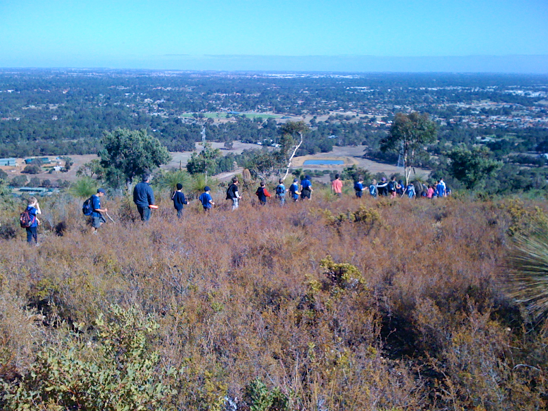 cubs_hiking_scrub_foreground_800x600.png