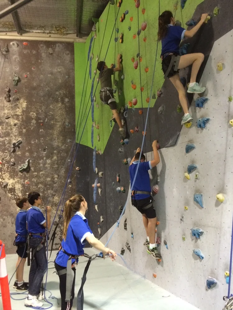 Scouts rock climbing