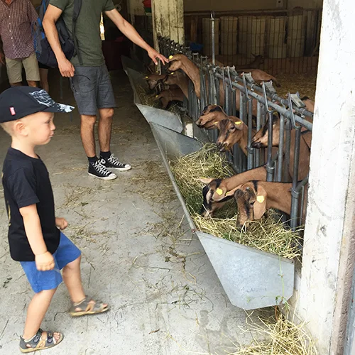 La Peta Agriturismo