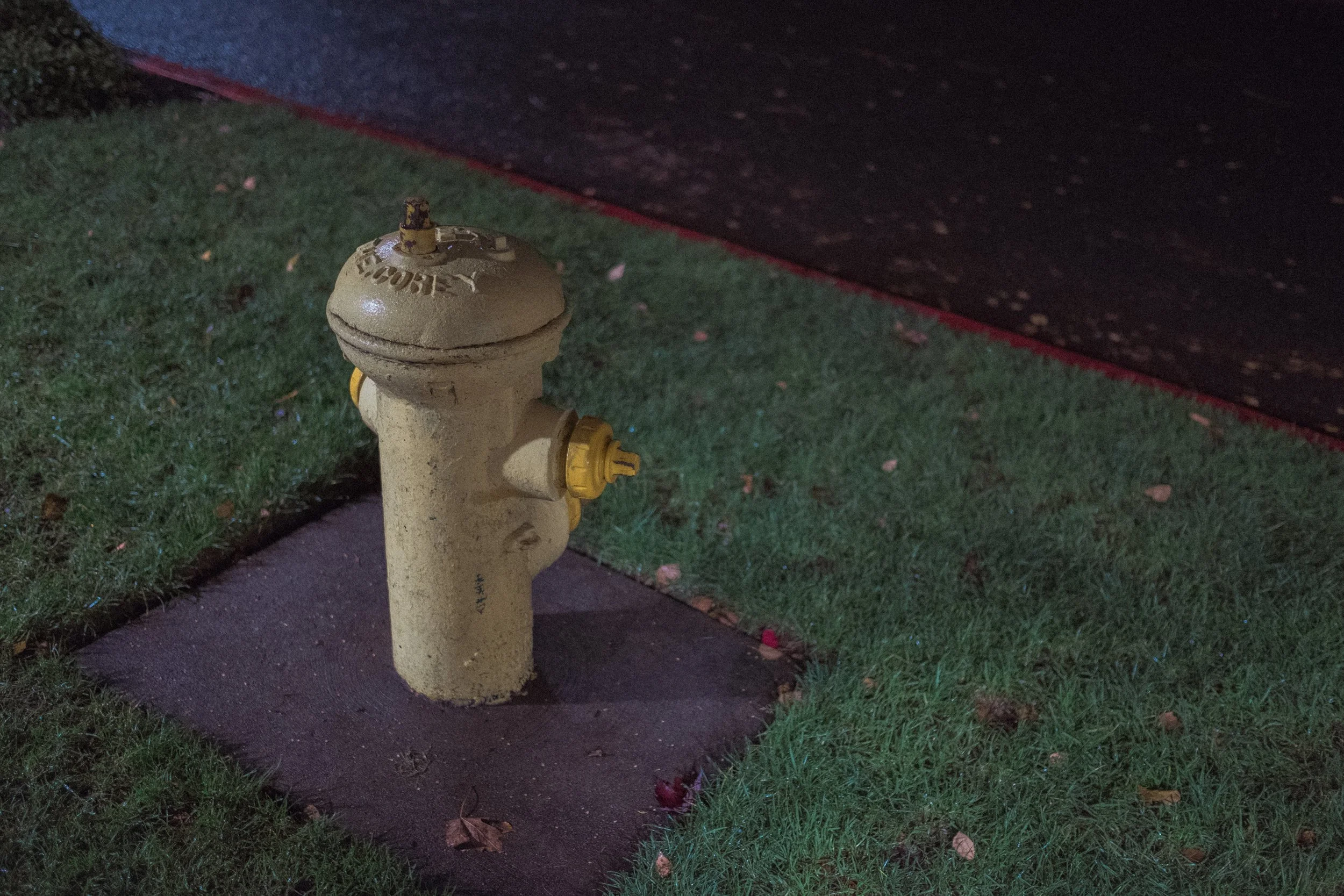 DSCF3005.jpg