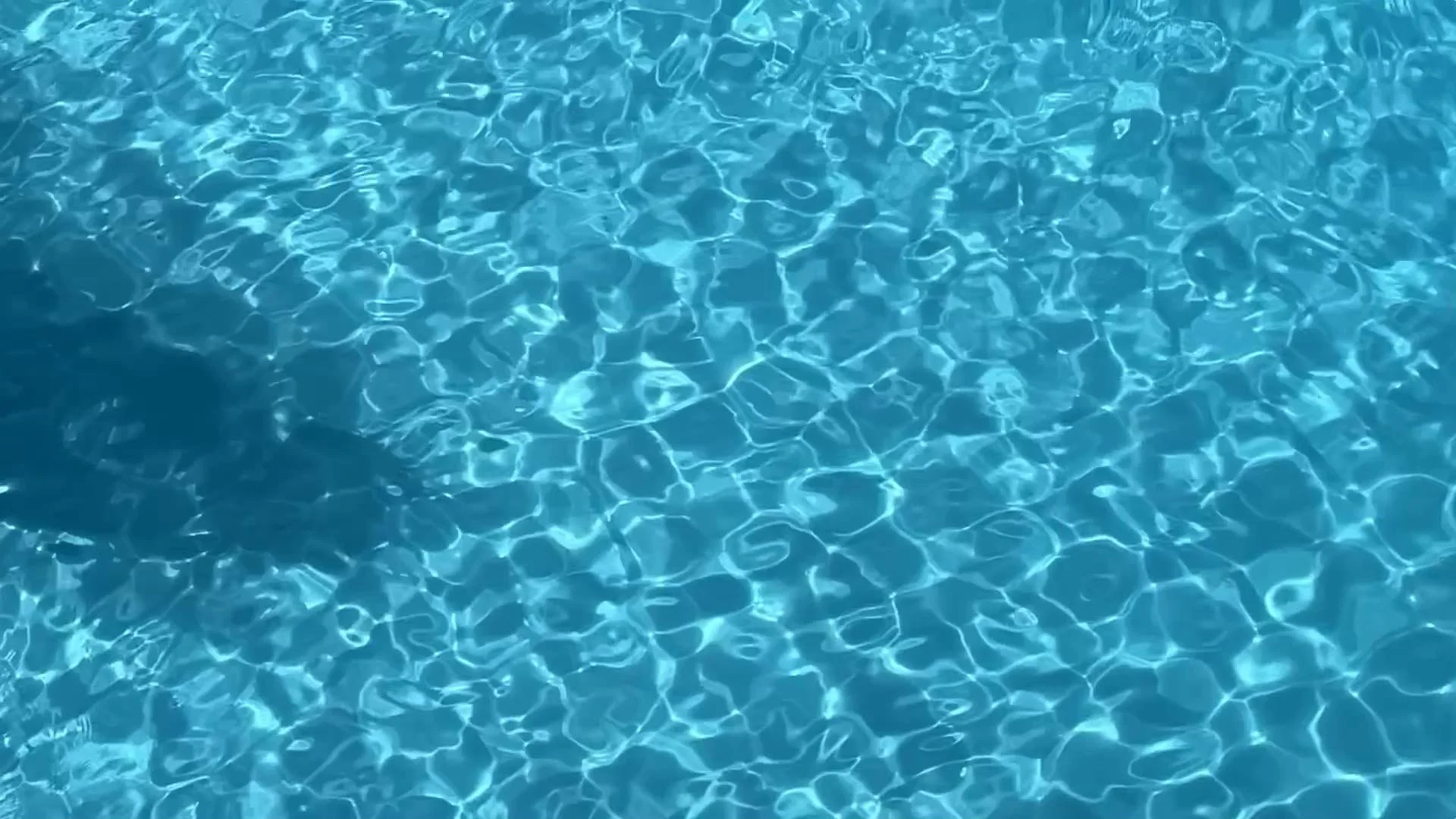 PoolLoop.jpg