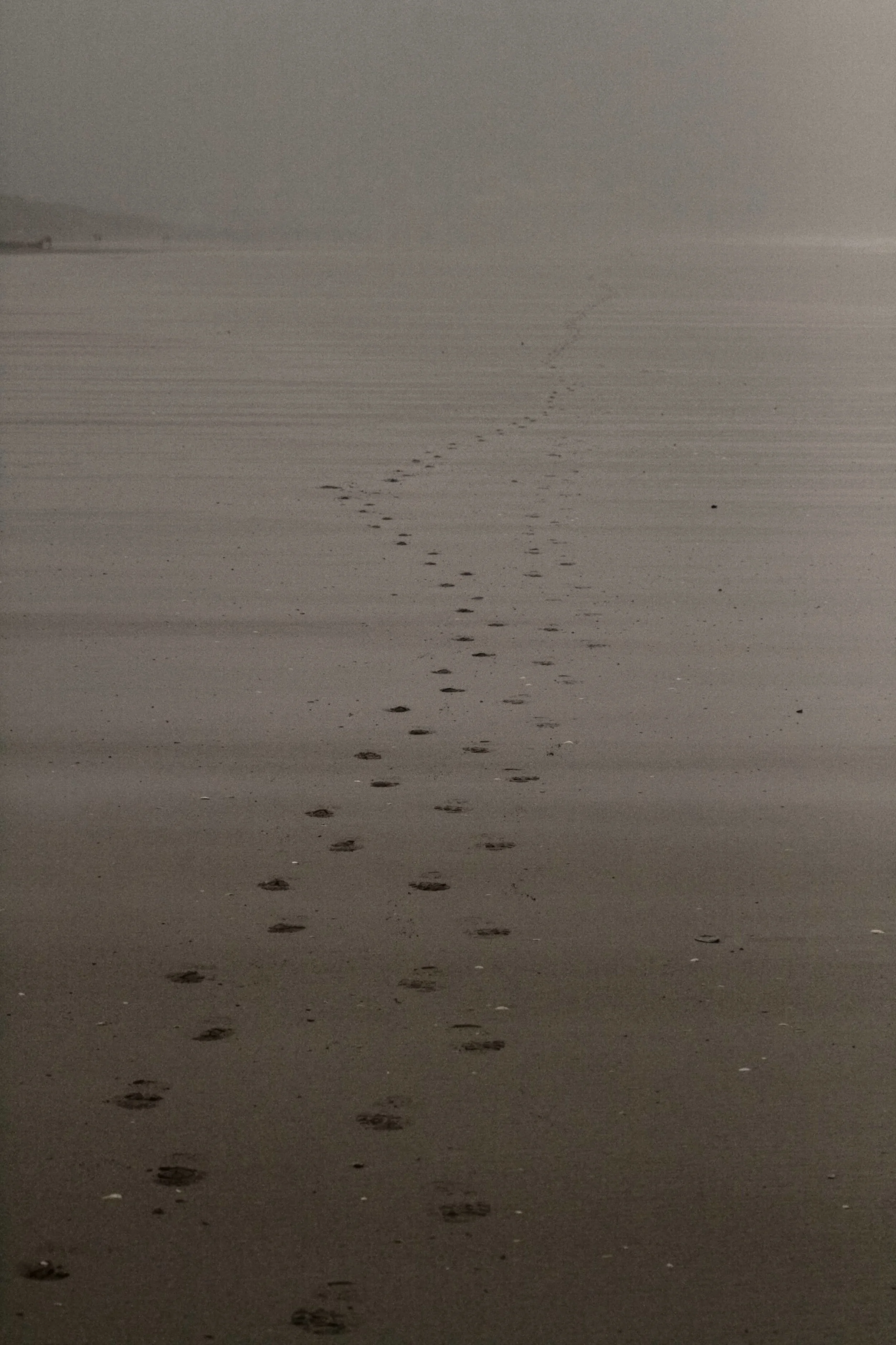 isolation-iv_3441929965_o-Exposure.jpg