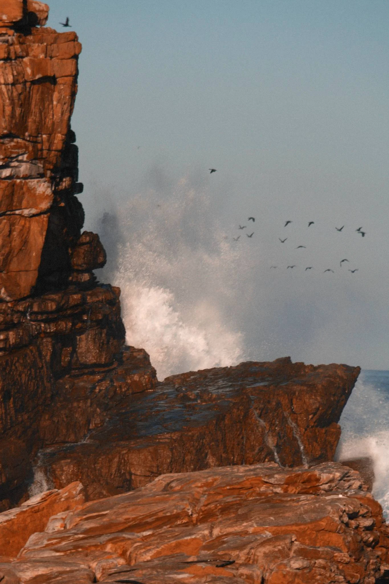 cape-of-good-hope_524853487_o-Exposure.jpg