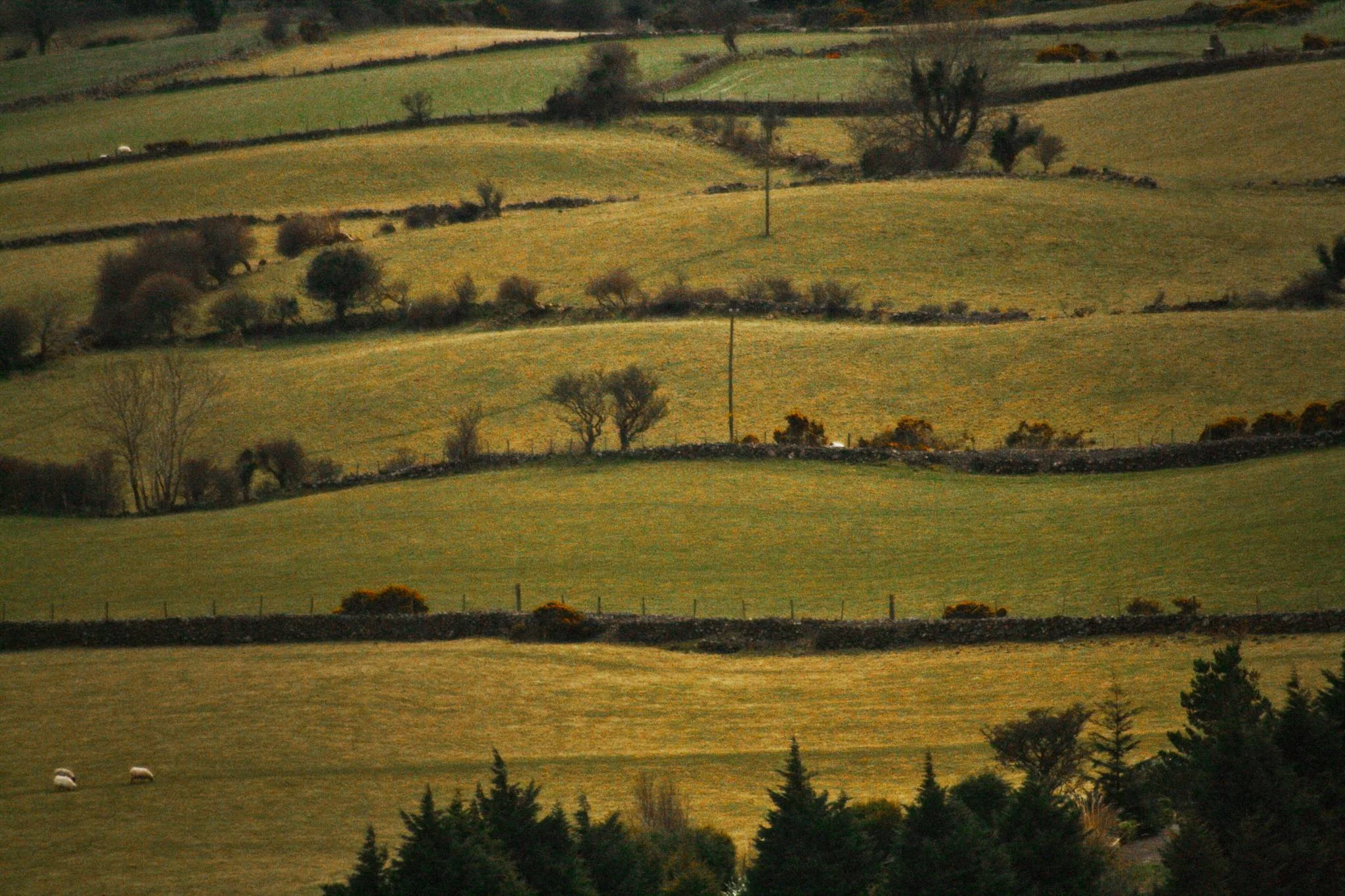 great-rural-divide-1_2368862628_o-Exposure.jpg