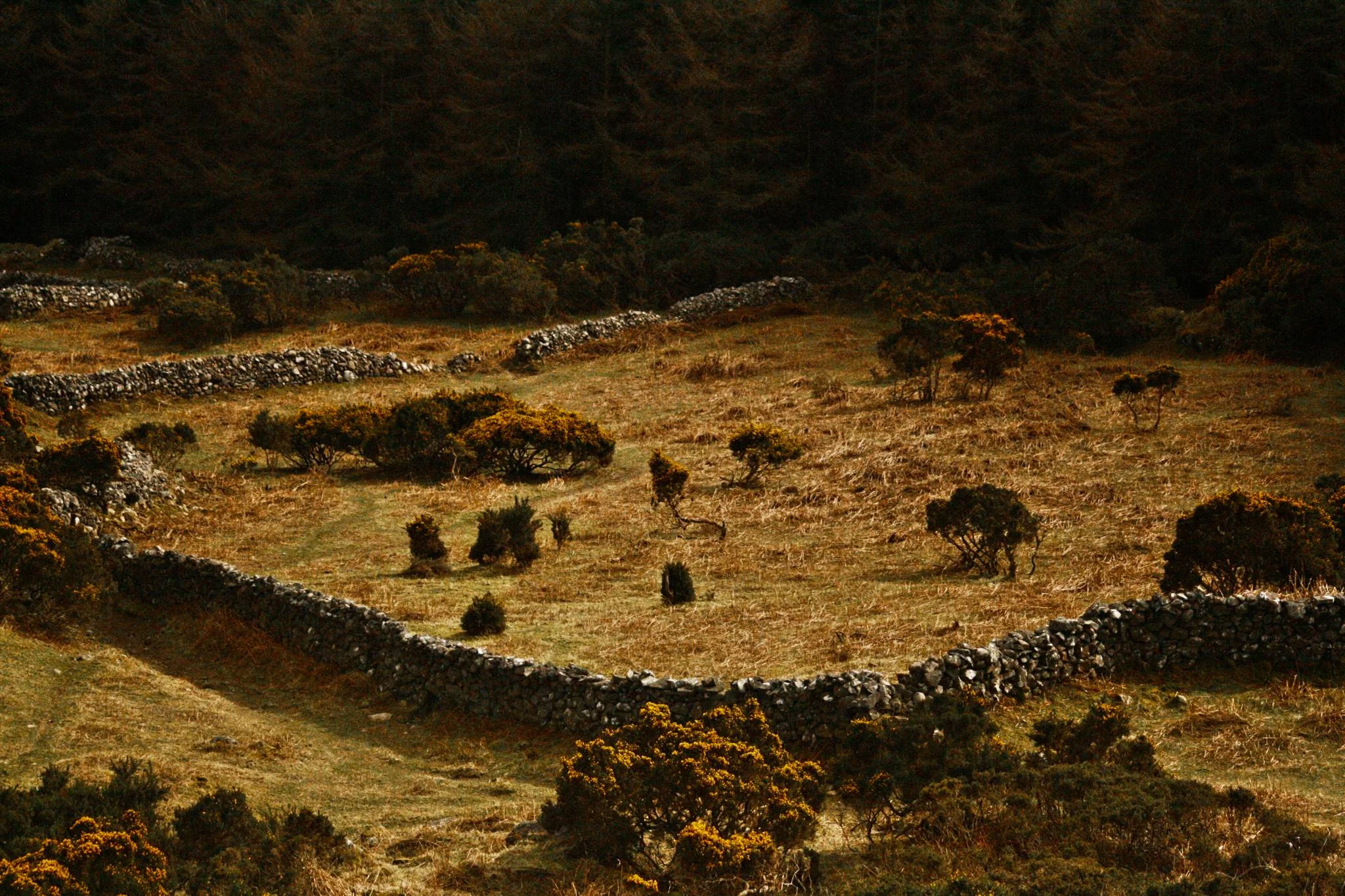 great-rural-divide-3_2368030029_o-Exposure.jpg