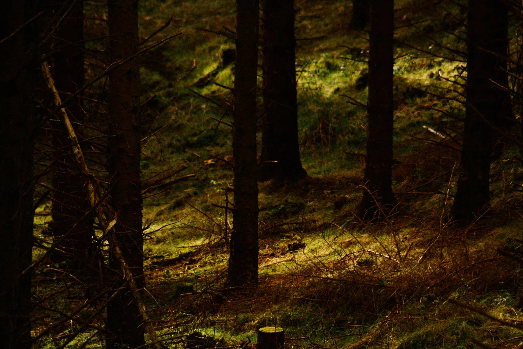 great-rural-divide-4_2368863754_o-Exposure.jpg