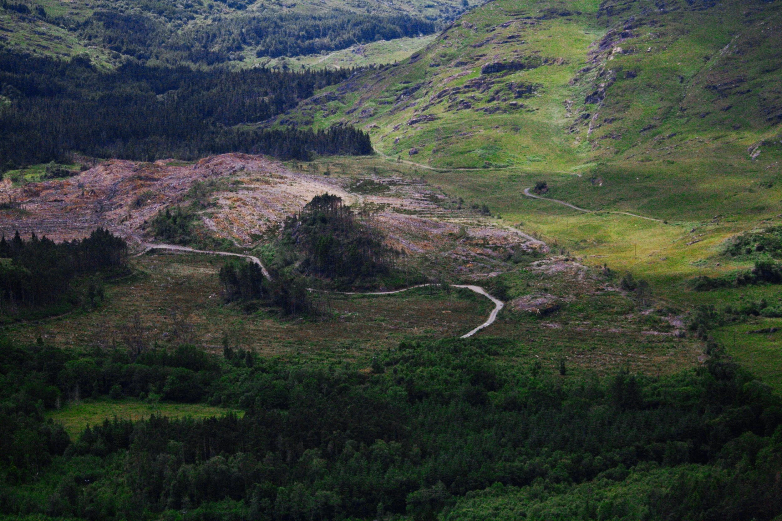 near-glengarriff-cork-ii_3789509005_o-Exposure.jpg