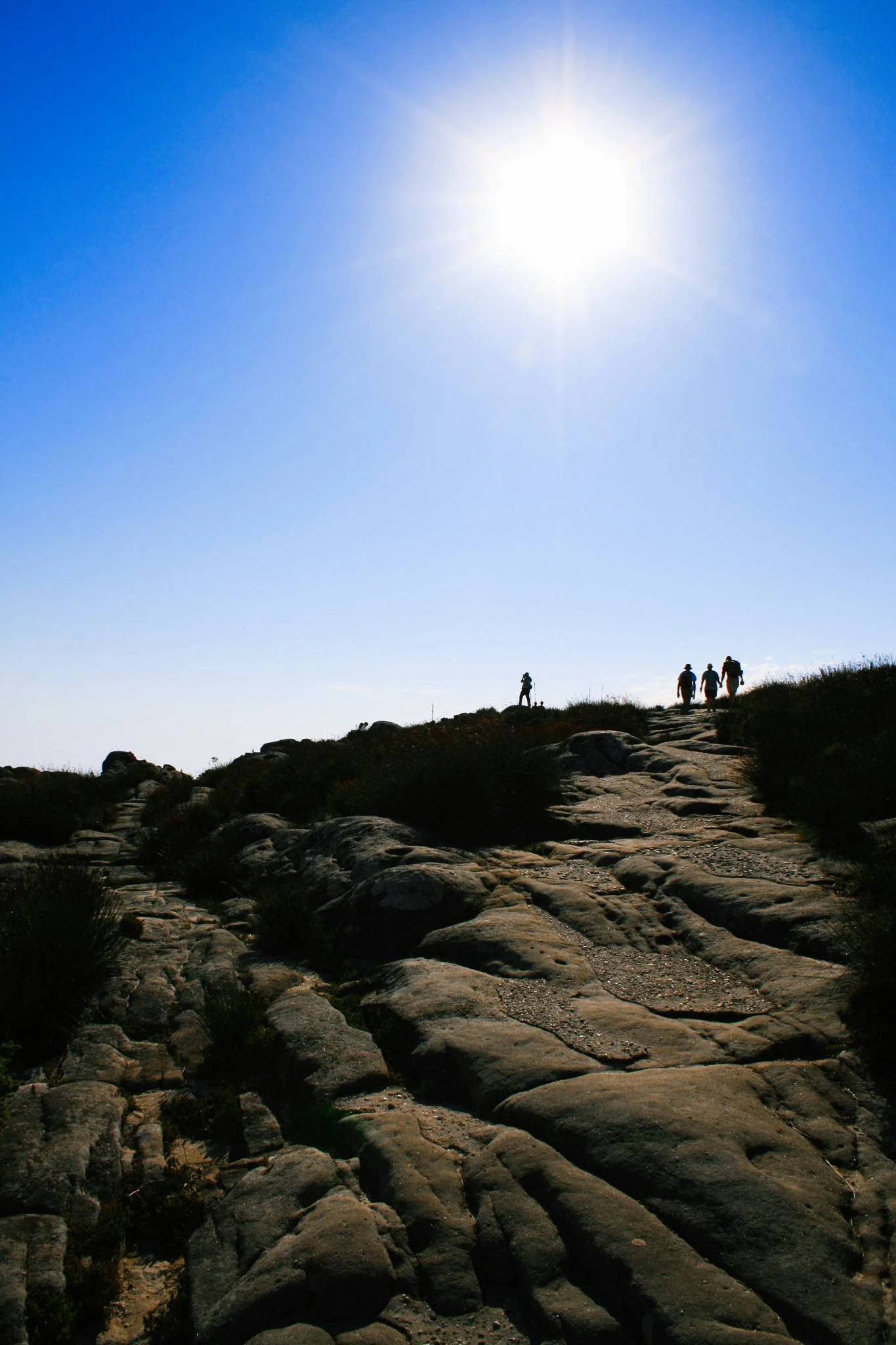table-mountain-top_524850641_o-Exposure.jpg