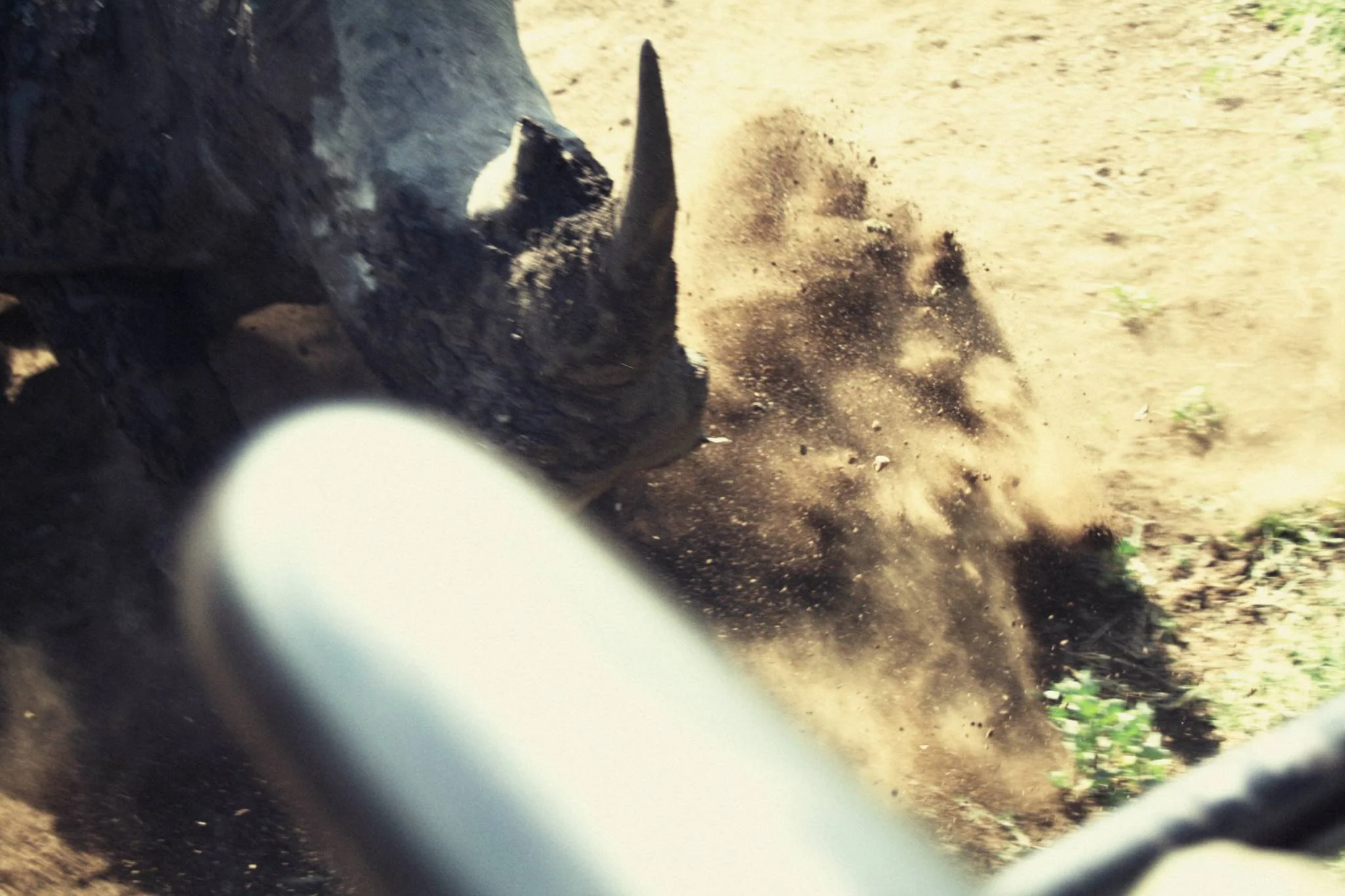 when-rhinos-go-bad_524771490_o-Exposure.jpg