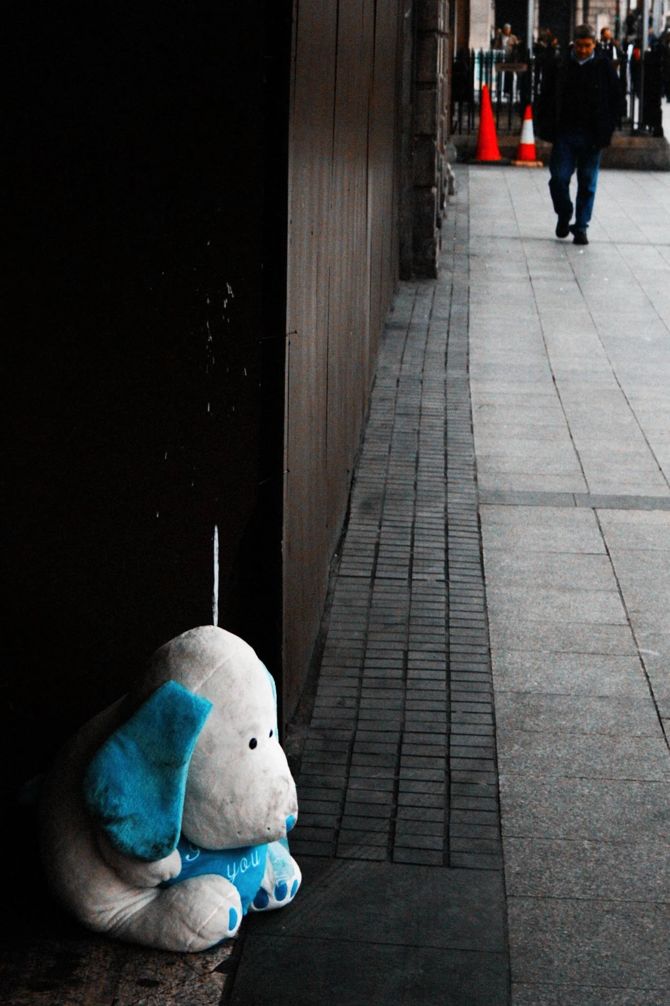 down--out-teddy_2086825059_o-Exposure.jpg