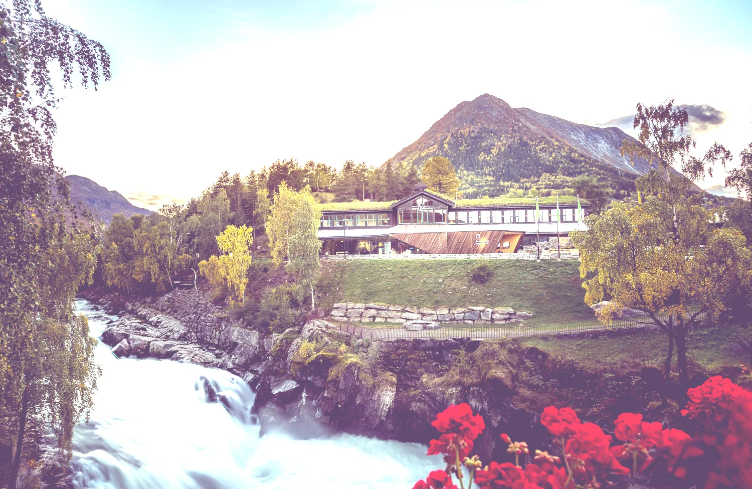 Foto- Kristoffer M+ªle Thuestad-1.jpg