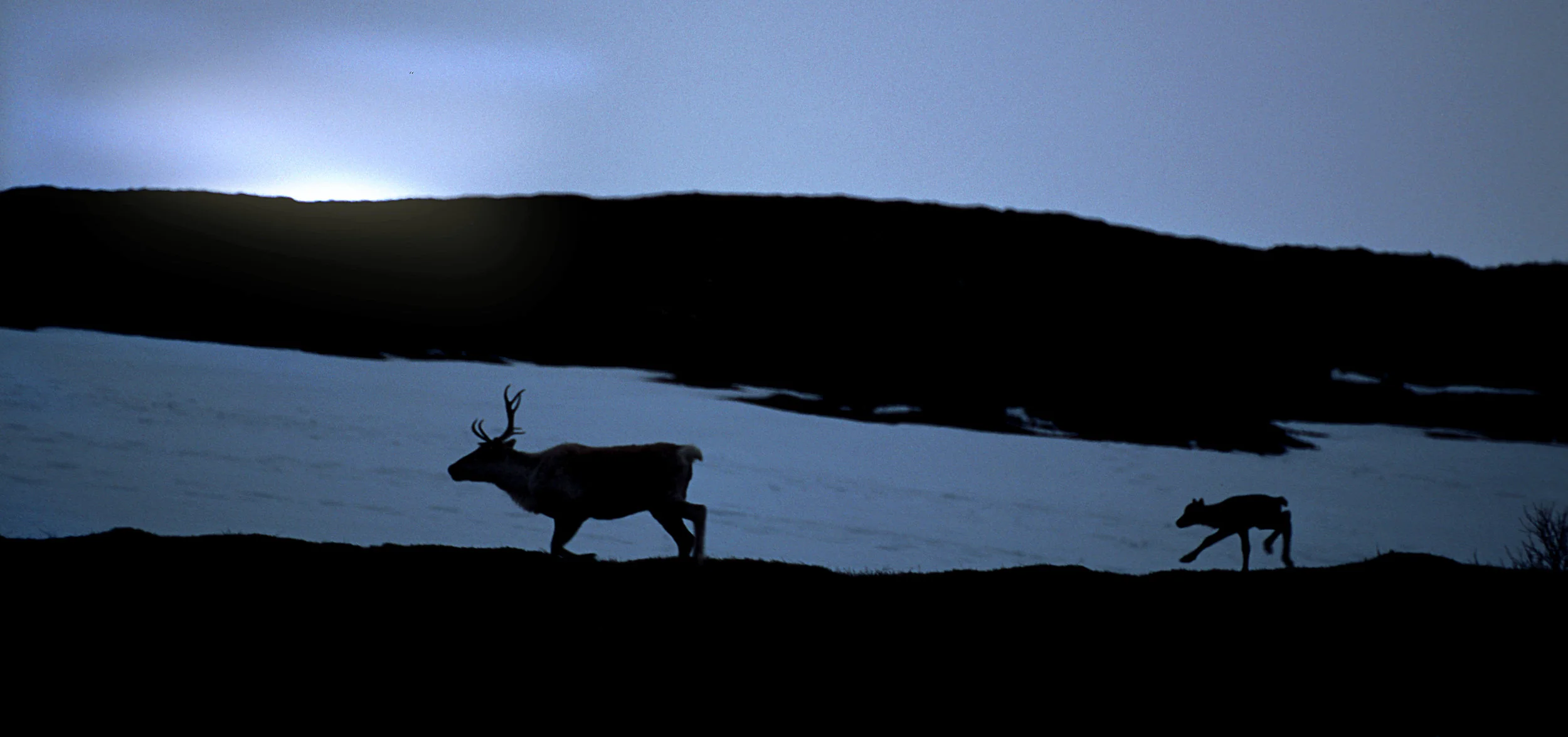 Utstillingsopning: Evige jaktmarker