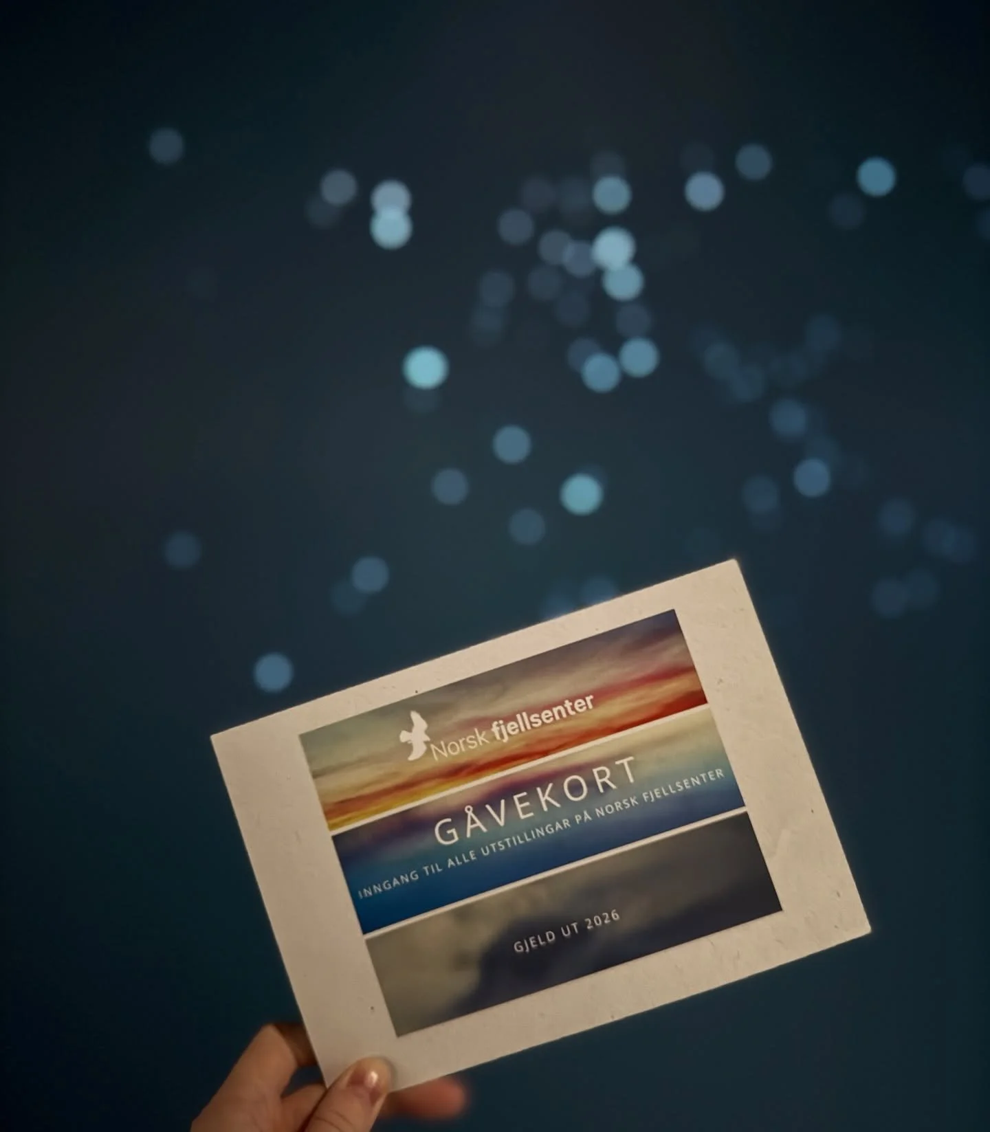 Nokre juleg&aring;vetips fr&aring; butikken v&aring;r🎁

Norsk fjellsenter har ope onsdag-fredag kl. 10:00-15:00. Stengt p&aring; raude dagar, i jula og p&aring;ska.