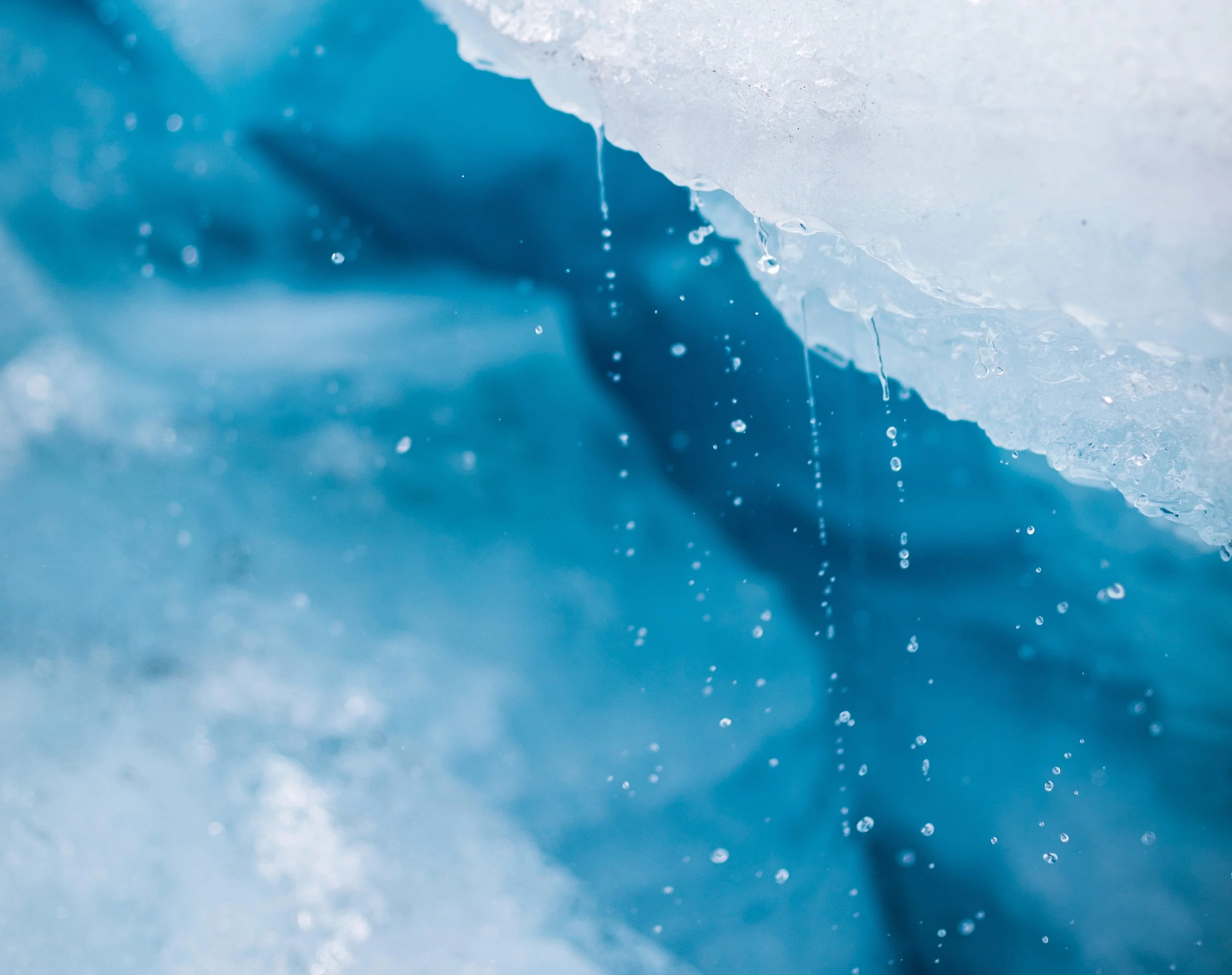 FOREDRAG // Brefallet - om breliv og bredød, med biolog og forfattar Dag O. Hessen