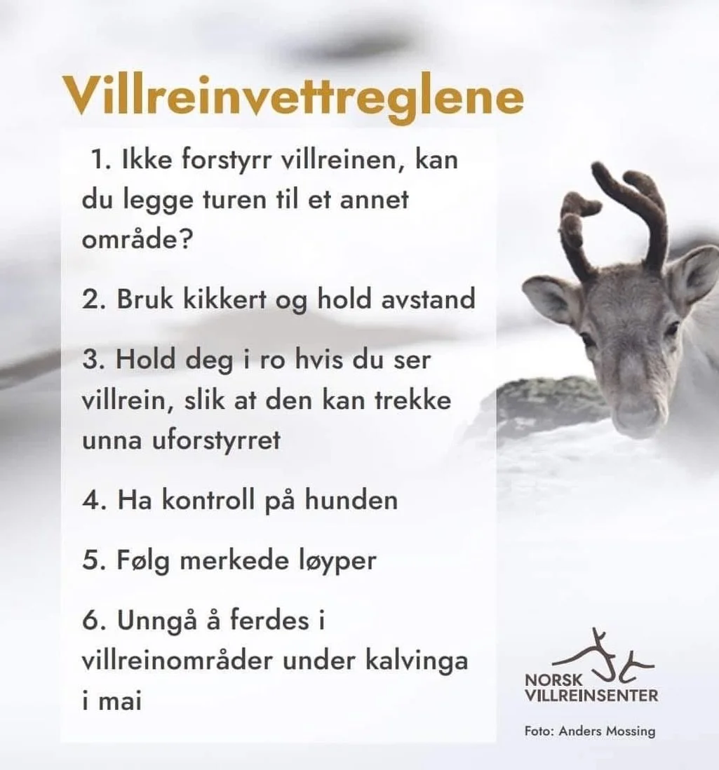 ❗️Utvida bandtvang i Breheimen 🐕

Bandtvang for hund gjeld fr&aring; 1. mars i Breheimen nasjonalpark og Strynefjellet landskapsvernomr&aring;de. Bakgrunnen for dette er f&oslash;rst og fremst at villreinen skal f&aring; ro i kalvingstida.

Hugs at 