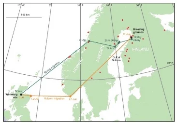 Migration route