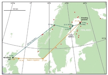 Migration route