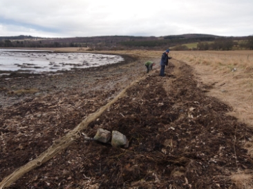 Laying cannon net