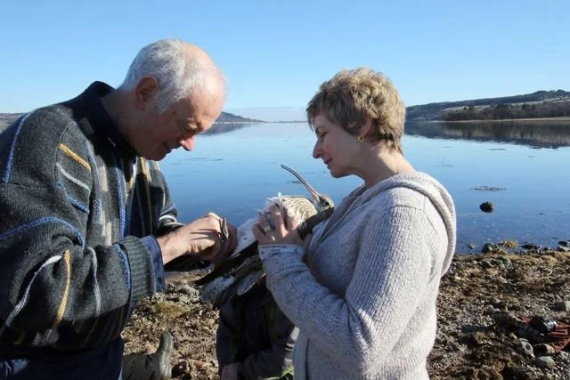 attaching geolocator.jpg
