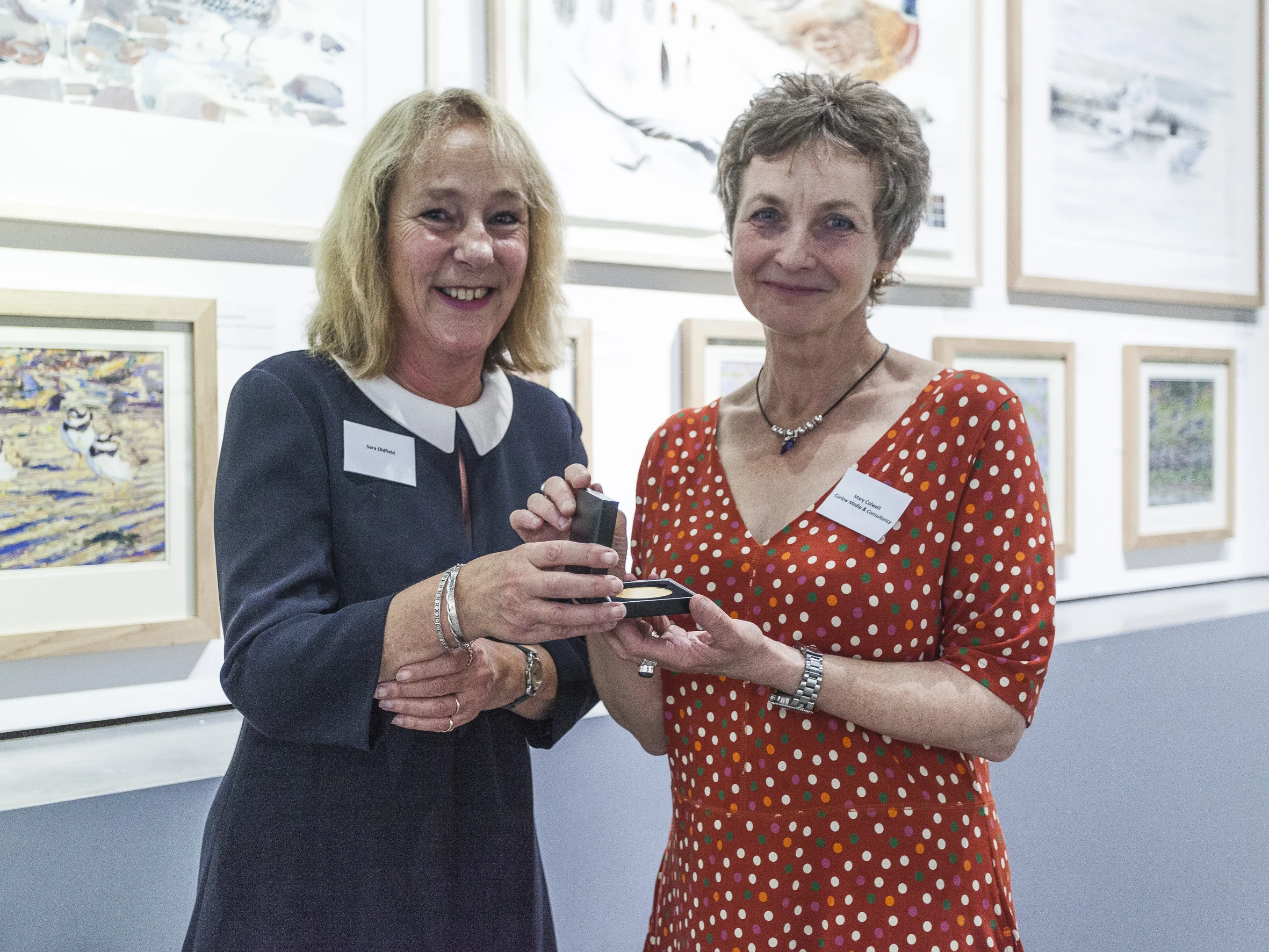 Receiving the BTO Dilys Breese Award - Mall Galleries, London