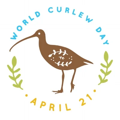 World Curlew Day logo, designed by Nicola Duffy.