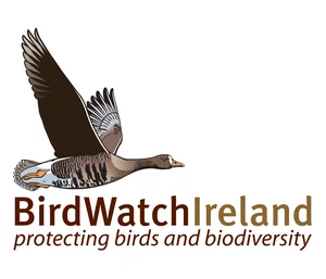BirdWatch_Ireland_new_logo_English.jpg